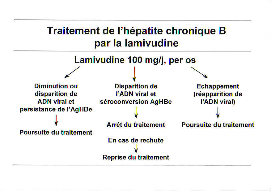 Traitement de lhpatite chronique B par la lamivudine