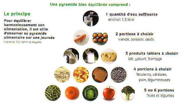 L'alimentation diversifie